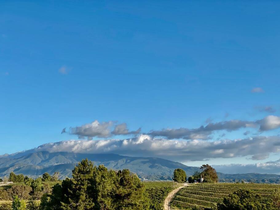 Que Syrah Temecula - Villa With 9 Bedroom 7 Ba With Spa In Wine Country Exterior photo