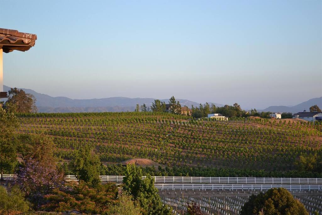 Que Syrah Temecula - Villa With 9 Bedroom 7 Ba With Spa In Wine Country Exterior photo