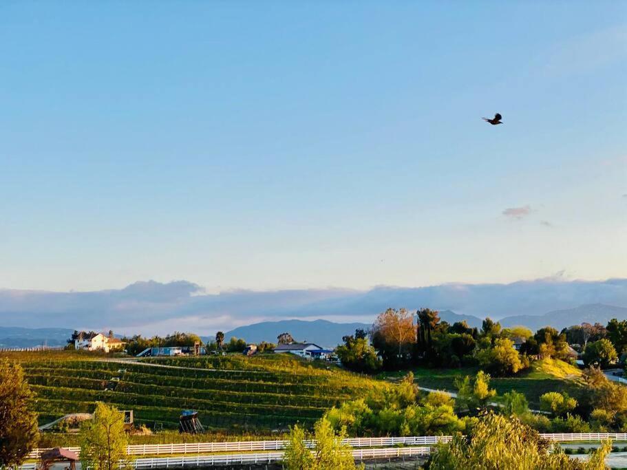 Que Syrah Temecula - Villa With 9 Bedroom 7 Ba With Spa In Wine Country Exterior photo